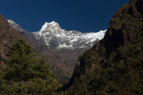 Kusum Kanguru
