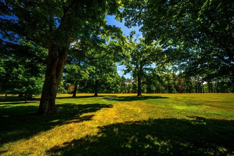 Vanderbilt Mansion National Historic Site