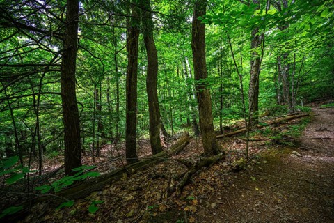 Platte Clove Preserve in the Catskills Mountains