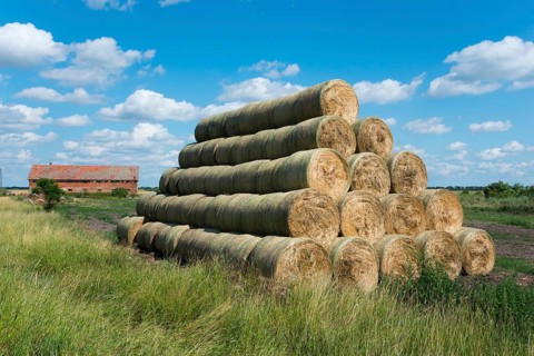 Hay bales