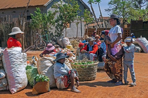 Malagasy vendors selling fruit and vegetables at food market in the streets of city Ambalavao