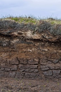 Peat hag showing exposed layers of turf
