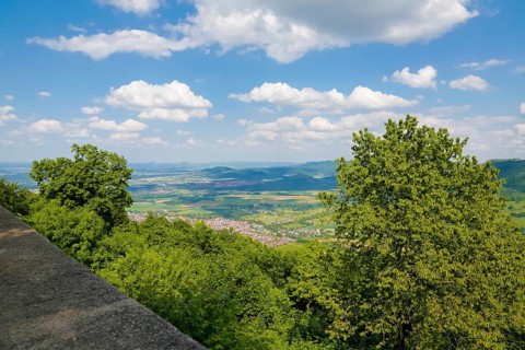 View