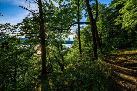 Hudson River at the Mills Norrie State Park
