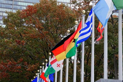 Flags