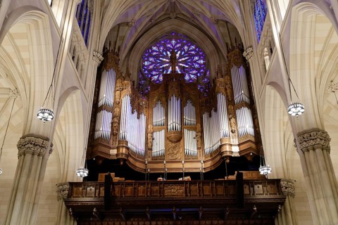 Organ