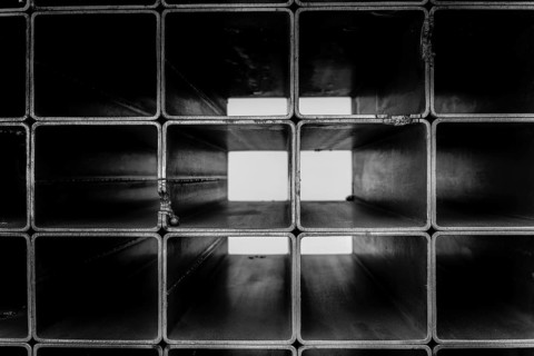 Detailed photo in black and white