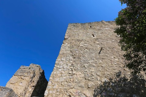 Castle Derneck