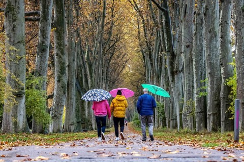Autumn walk with umbrella in rainy weather