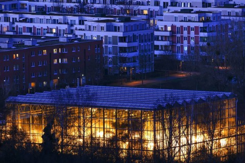 View of the illuminated tropical hall in the Gardens of the World
