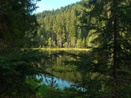 Herrenwieser See
