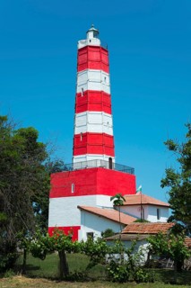 A red and white striped lighthouse stands under a blue sky surrounded by green