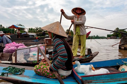Floating market