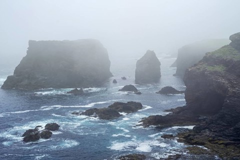 Sea stacks and sea cliffs in mist during stormy weather at Eshaness