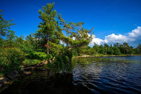 South Lake in Catskills Mountains