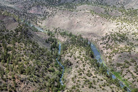 Cerro