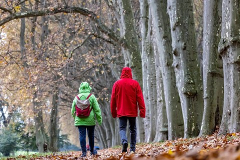 Autumn walk with in rainy weather