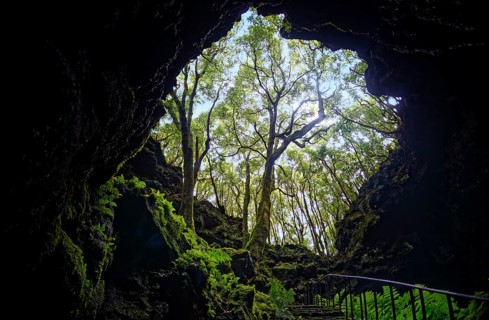 View from one of the lava tunnels Gruta das Torres to a wooded area and the sky, Gruta das Torres,