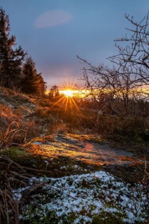 Landscape on the Grosser Feldberg, Taunus volcanic region. A cloudy, sunny winter day, meadows,