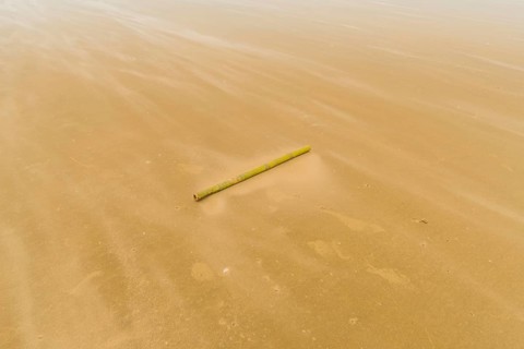Solitary bamboo pole laying on windswept beach with streaks of sand being blown across the ground