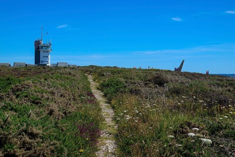 Heath landscape on the Cap de la Chevre, lighthouse, Crozon peninsula, Finistere department,