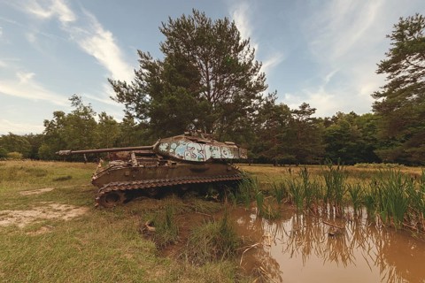 A tank by day at a pond, surrounded by trees and extensive nature, M41 Bulldog, Lost Place, Brander