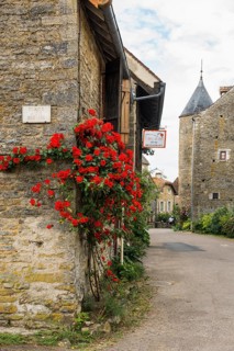 Medieval village and castle, Chateauneuf, Departement Cote-d'Or, Burgundy, Bourgogne-Franche-Comte,