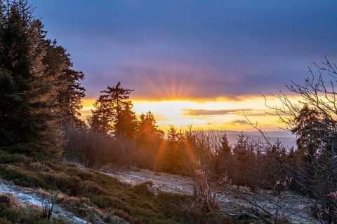 Landscape on the Grosser Feldberg, Taunus volcanic region. A cloudy, sunny winter day, meadows,