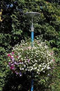 Flower pot hanging from a street lamp, decoration, Germany, Europe
