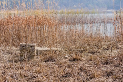 Foundation and concrete column of building in tall grass of dried riverbed with river and tall