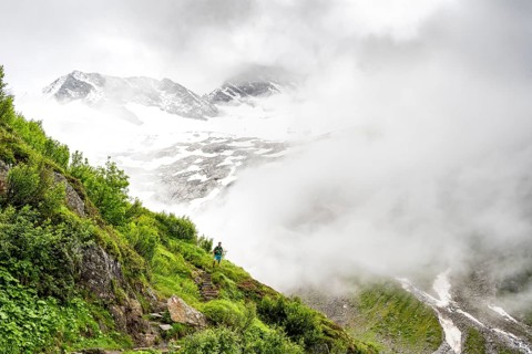 Mountaineers on a hiking trail, in the background glaciated peak Dosso Largo and glacier