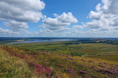 View from Mont Saint-Michel de Brasparts with heath landscape, to the reservoir Reservoir de