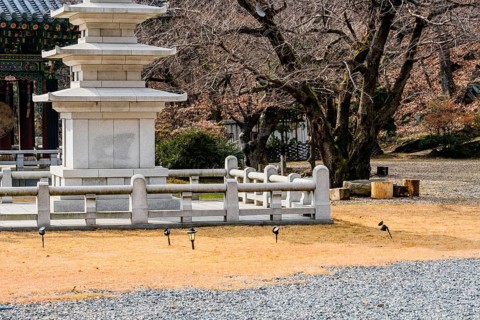 Five story concrete pagoda (only three visible) in concrete enclosure next to barren tree in Buddha