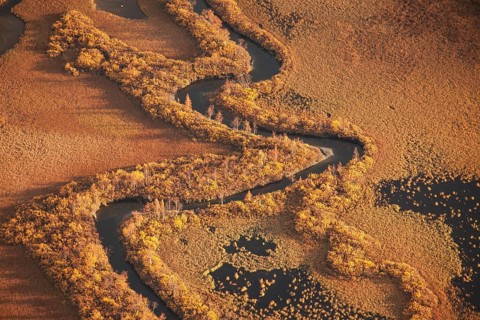 In Sarek National Park, Sweden. The Rapaaelv river delta in autumn. View from Skierfe mountain