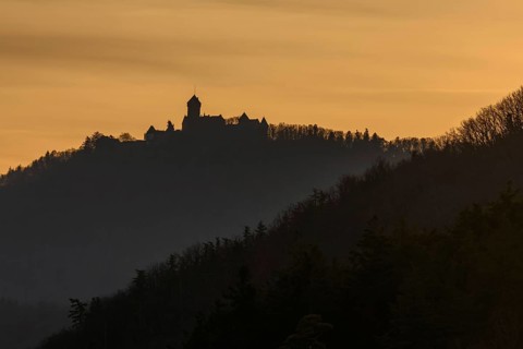 Silhouette of the Haut Koenigsbourg on the top of a mountain. Bas-Rhin, Alsace, Grand Est, France,
