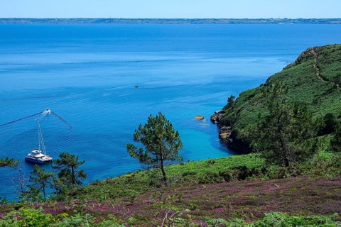 Anse St. Nicolas bay at Cap de la Chevre, heathland in the bay of Douarnenez, Crozon peninsula,