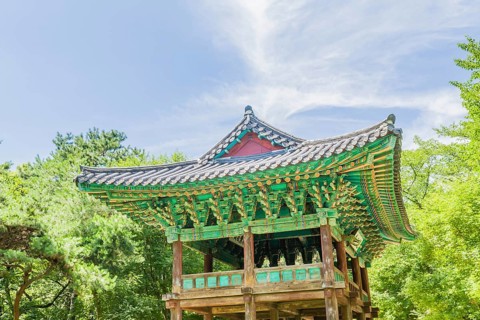 Covered oriental gazebo with ceramic tiled roof in woodland park under blue sky with soft white