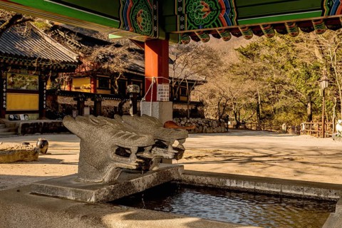 Covered water cistern with dragon head fountains at Buddhist temple