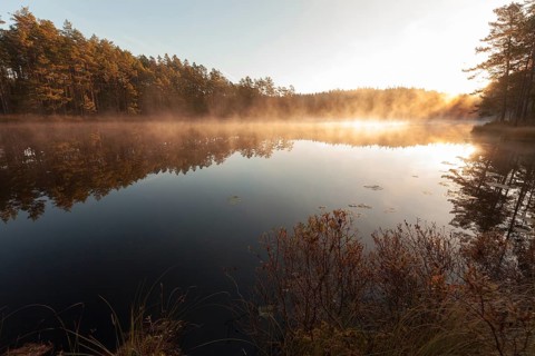 Tivedens National Park, Lake Metesjoen with sunrise in the fog