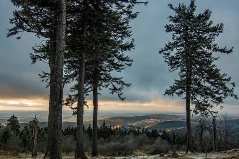 Landscape on the Grosser Feldberg, Taunus volcanic region. A cloudy, sunny winter day, meadows,