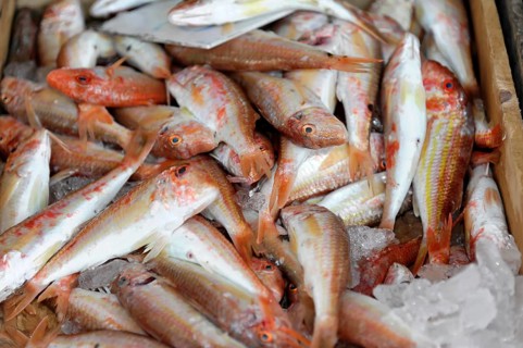 Fish, seafood at the Venetian harbour of Heraklion, island of Crete, Greece, Europe