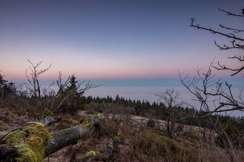 Landscape on the Grosser Feldberg, Taunus volcanic region. A cloudy, sunny winter day, meadows,