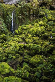 Waterfall, Source du Lison, Source des Lison, Nans-sous-Sainte-Anne, Departement Doubs,