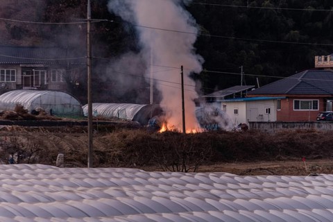 Large open fire with yellow flames and billowing smoke outside near a red brick house and three