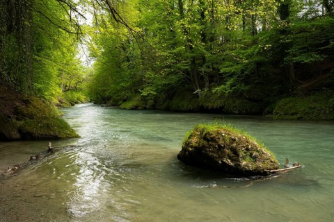 Erlauf, Erlauf Gorge, Purgstall an der Erlauf, Lower Austria
