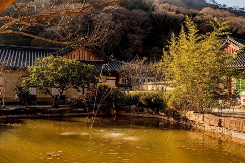 Water fountain in small pond in front of buildings at Buddhist temple