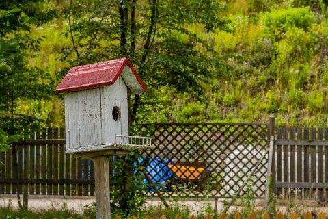 Closeup of white birdhouse with red roof on wooden stand with trees and lattice fence in background