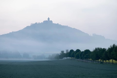 Wachsenburg Fortress in the morning mist, Thuringia, Germany, Europe