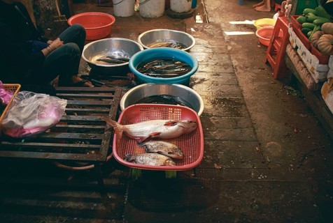 A fishmonger selling and waiting for costumers at the local Samaki Market in Kampot Cambodia
