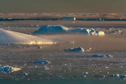 Icebergs in the fog, midnight sun, summer, Ilulissat Icefjord, Disko Bay, Jakobshavn Glacier,
